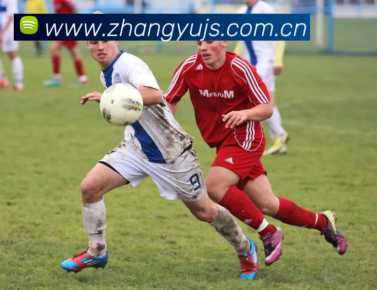 中国·尊时凯龙(有限公司) - 官方网站发展历程